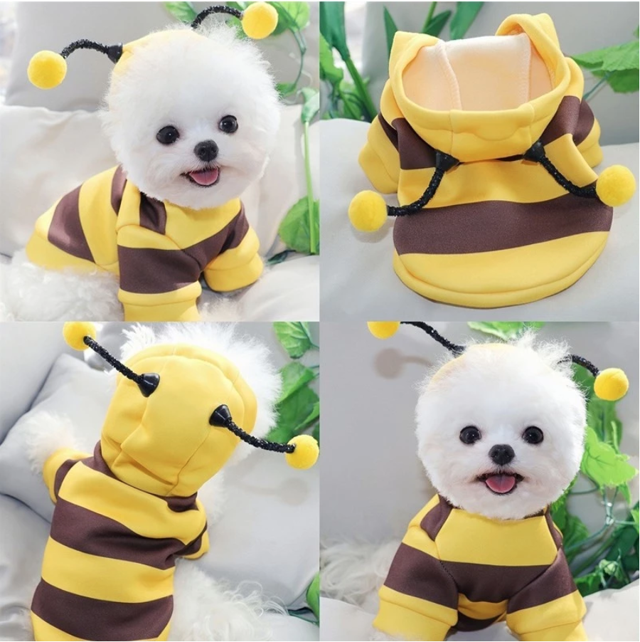 JESMARY - PRESTIGIOUS PET CLOTHING MANUFACTURER IN VIETNAM - QUALITY COMES WITH QUANTITY